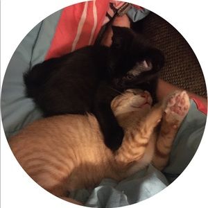 Meet your Posher, Penelope